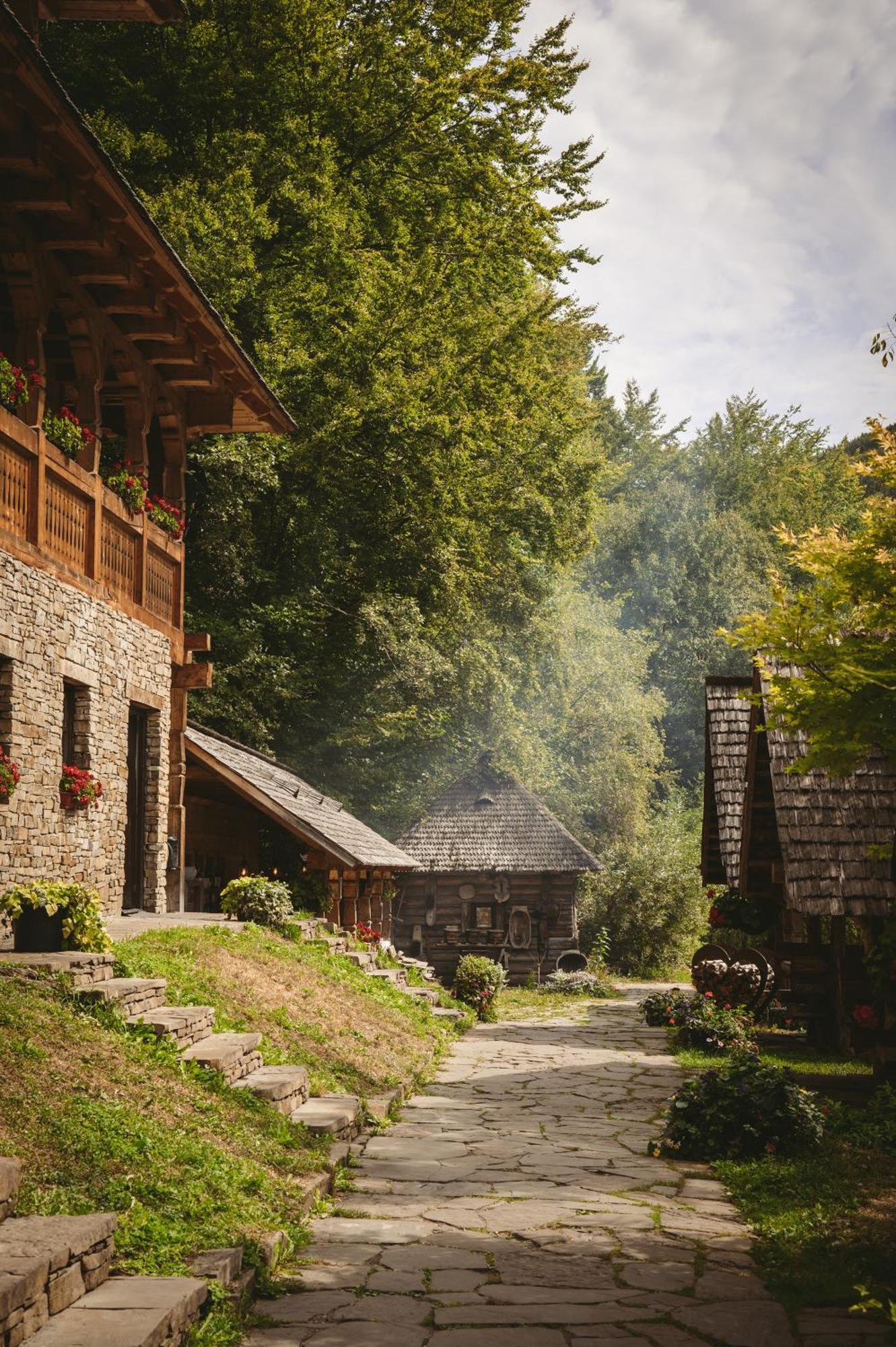 Păstrăvăria Alex Mara Exterior foto