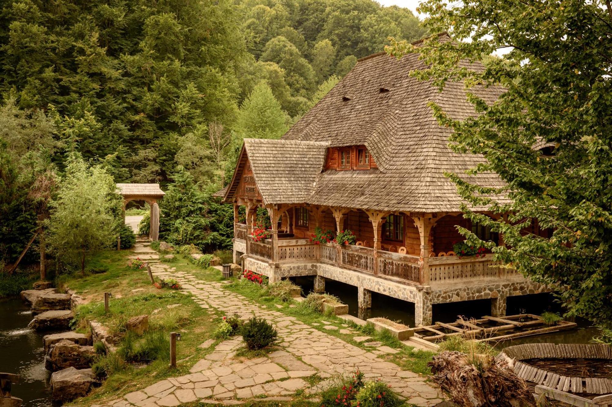 Păstrăvăria Alex Mara Exterior foto