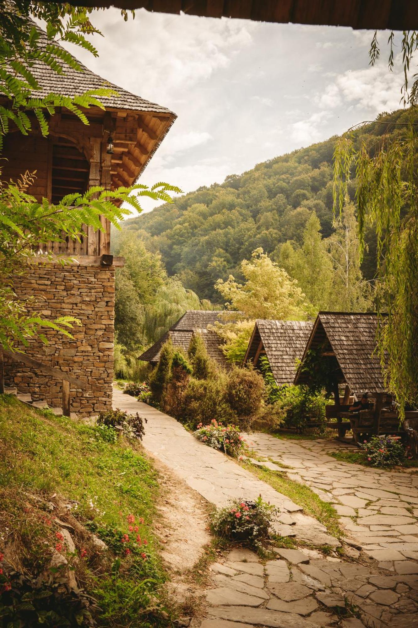 Păstrăvăria Alex Mara Exterior foto