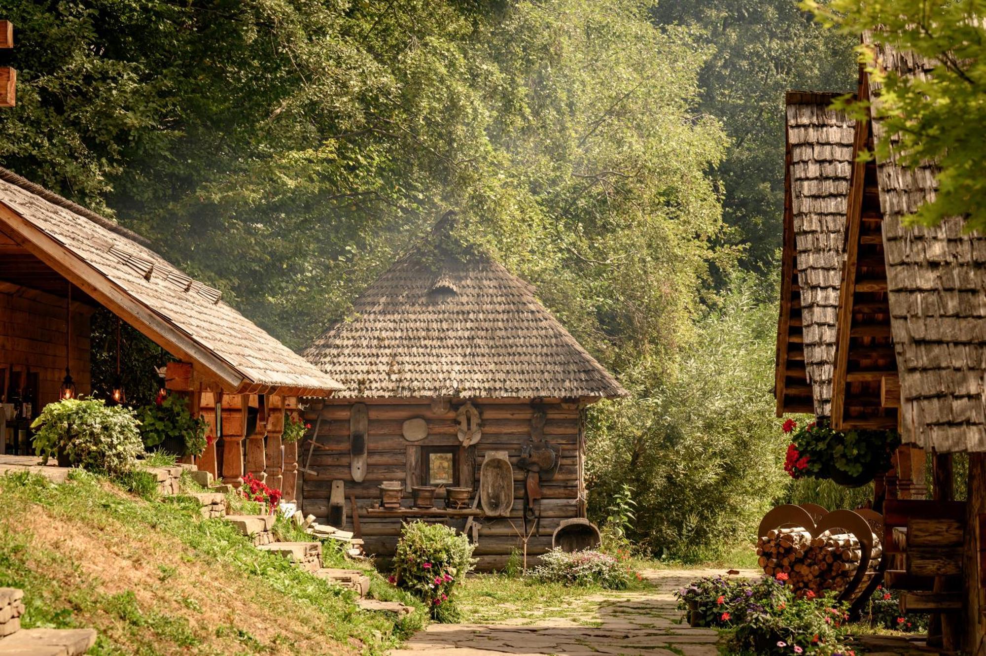Păstrăvăria Alex Mara Exterior foto