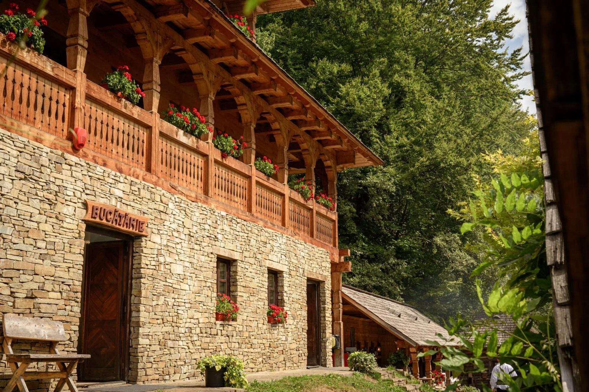 Păstrăvăria Alex Mara Exterior foto